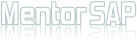 Mentor Sap